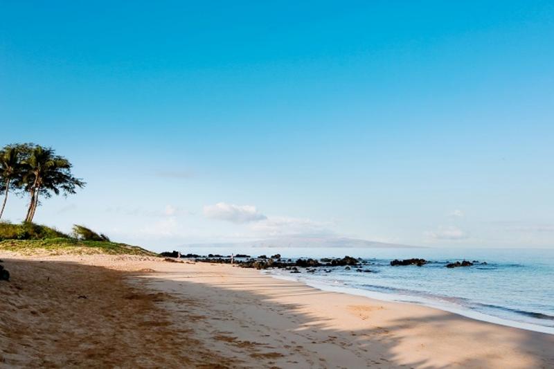 Wonderful Maui Whale Watching