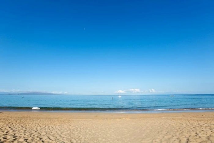 Hawaiian Style Beach Day