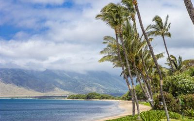 Sugar Beach Resort: The Best in Maui Beachfront Vacation Rentals
