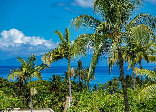 Why Visit Maui? We Top the List for Best Vacation Destinations in the World