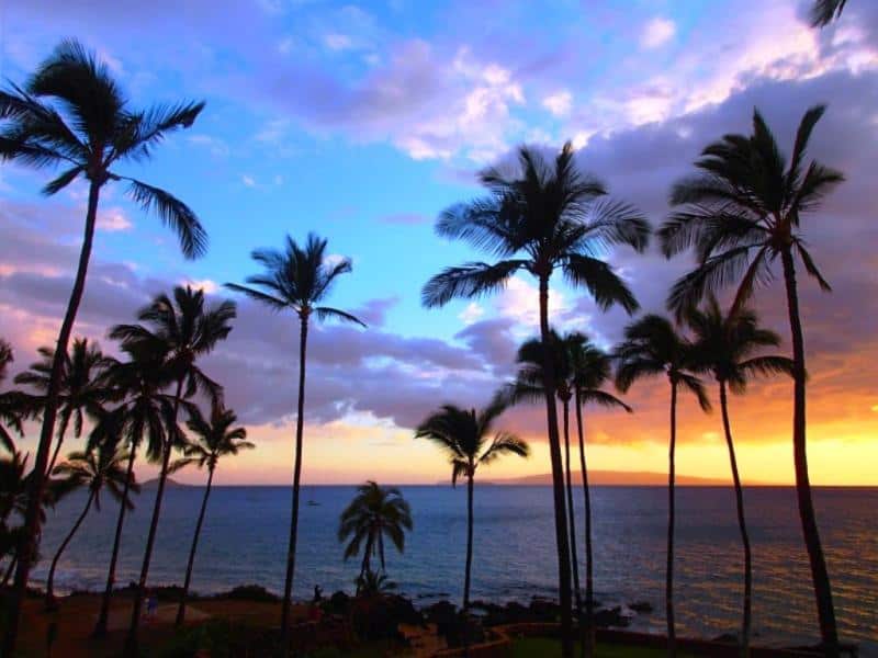 The Latest Maui Vacation Rental Deals