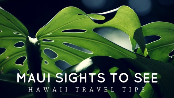 Must See Sightseeing in Maui Hawaii