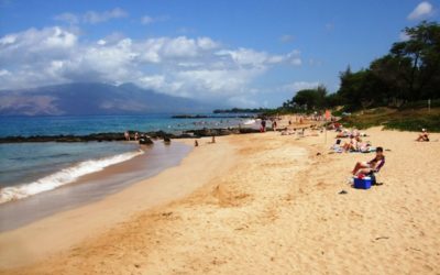 Maui Beach Day