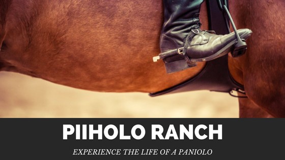 Experience the Life of a Paniolo at Piiholo Ranch