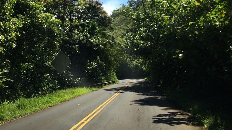 Explore Maui with a Special Van Tour