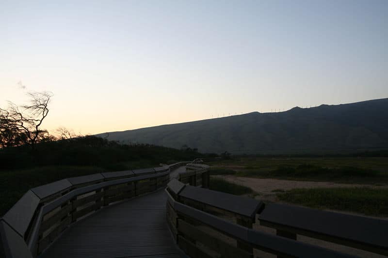 Kealia Pond National Wildlife Refuge Hosts Maui Family Fun Events