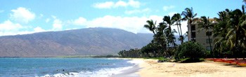 Welcome To The New Rentals Maui Vacation Rental And Travel Blog