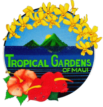 Maui Cond Rentals: Kihei Bay Vista