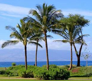 Maui Vacation Rentals great for family vacations.