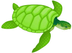 honu