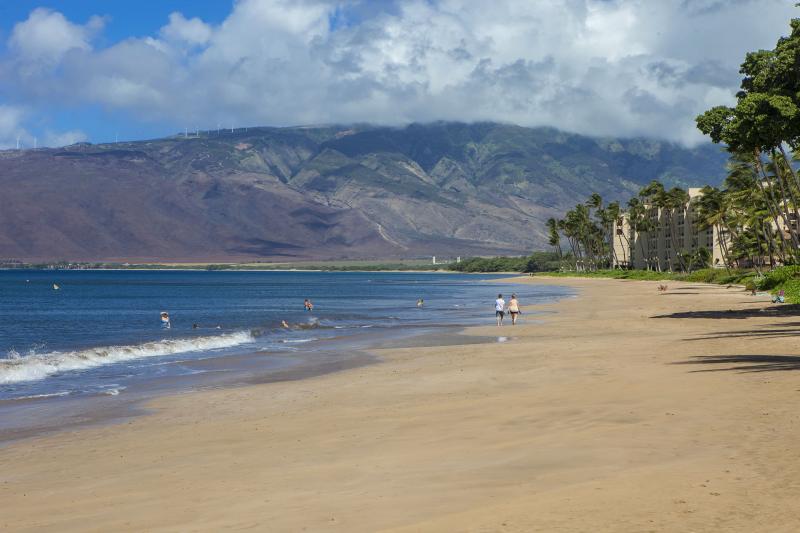 Maalaea Surf Resort is a Top Condo Rental Pick for Your Maui Vacation