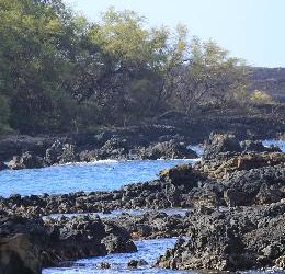 Take a Family Vacation on Maui, Part 2