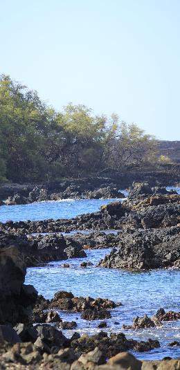 Take a Family Vacation on Maui, Part 2