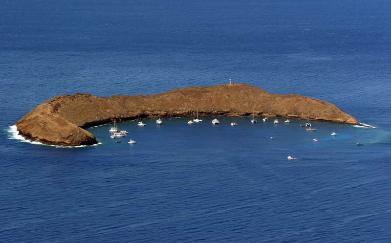 Snorkeling on Maui