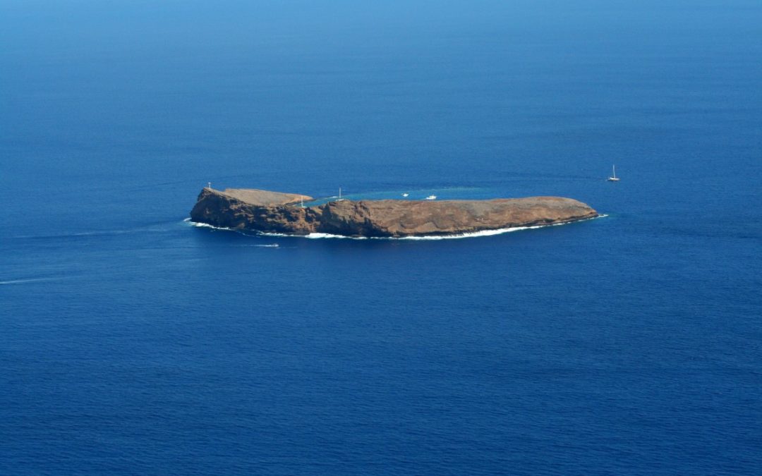 Molokini Snorkel