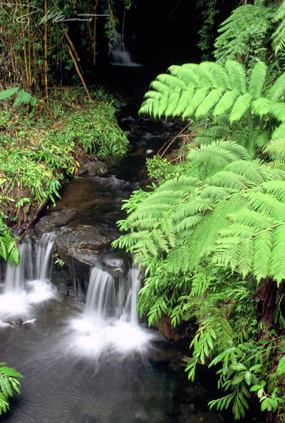 Maui Travel Tips – Take A Hike