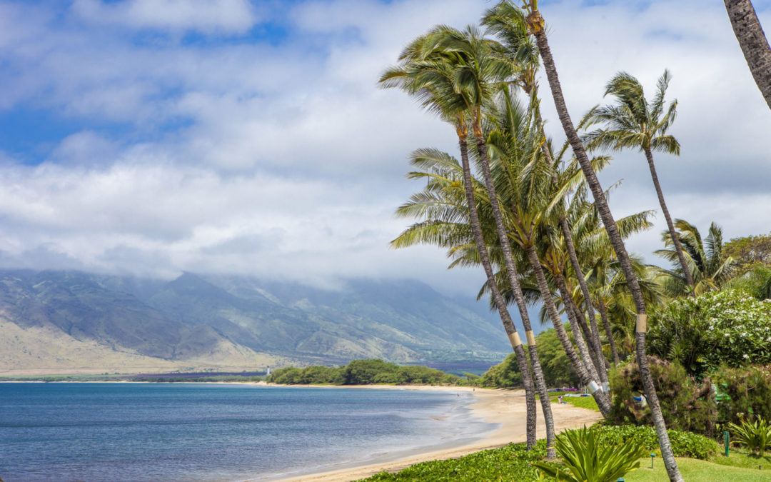 Get to Know Some of the Best North Kihei Vacation Rentals