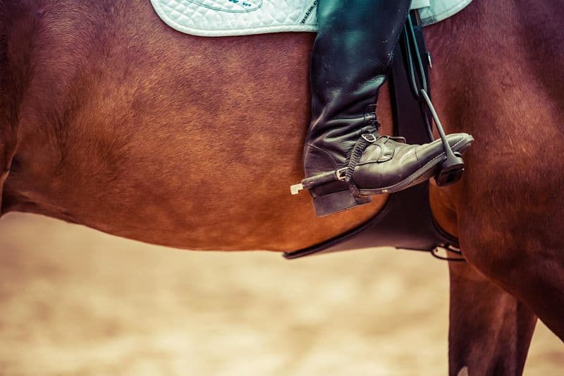 What to do in Hawaii: Horseback Riding on Maui