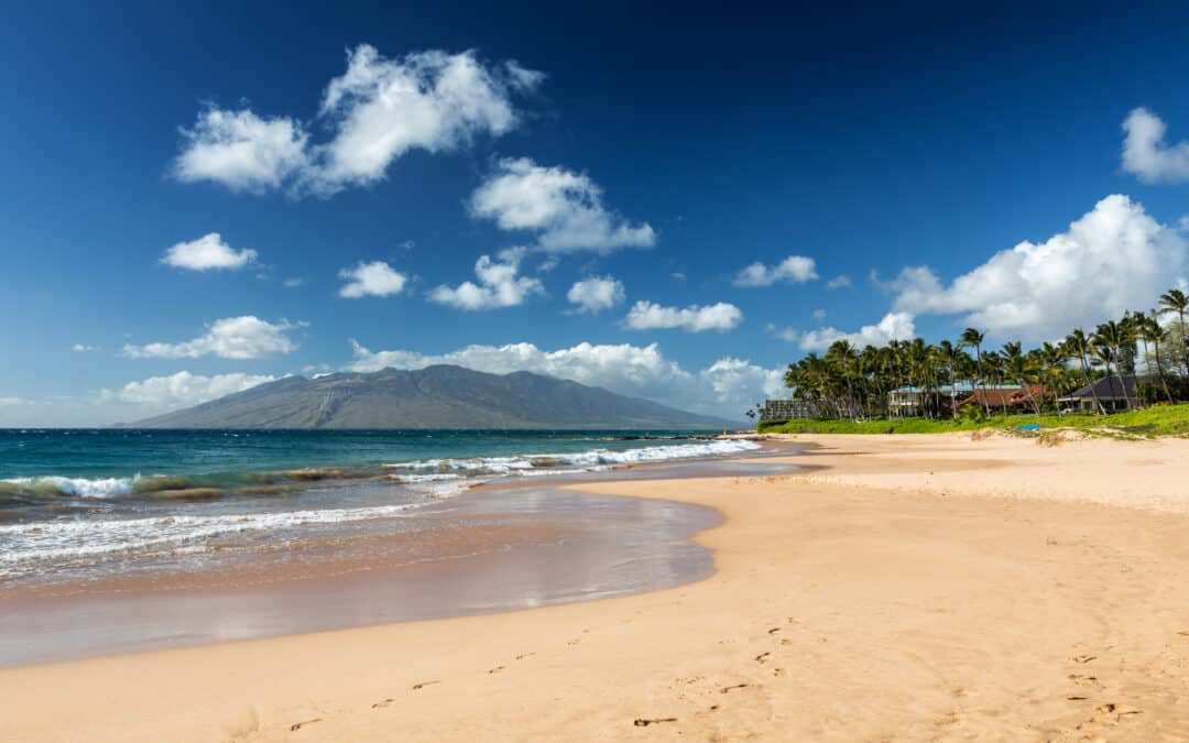 The 5 Best Beaches in Maui: A Must See Experience