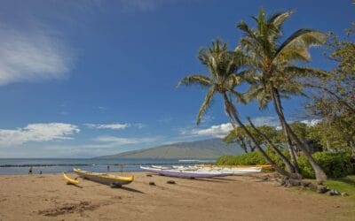 North Kihei Bay Surf Rental Spotlight: The couple’s dream vacation rental