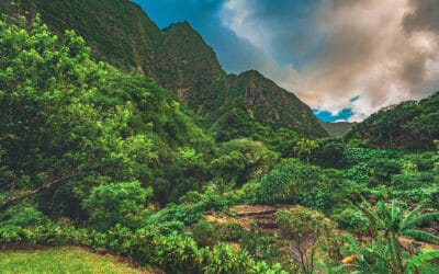 Things to do in Central Maui: Top Must-See Attractions on Your Vacation