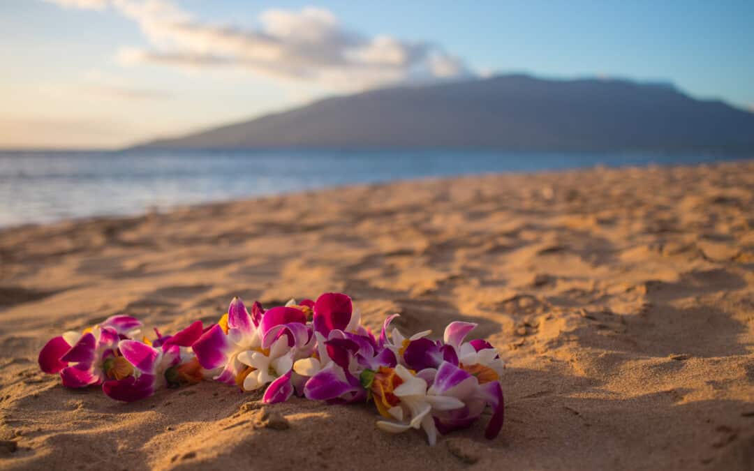 Authentic Things to Do in Maui: Experience the Real Hawaii
