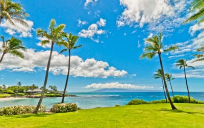 How Not to Look & Act Like a Tourist in Hawaii