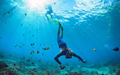 Best Beginner Snorkeling Beaches on Maui & Top Tips