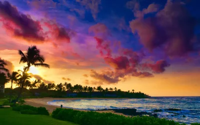 Best Hawaii Travel Hacks for 2024