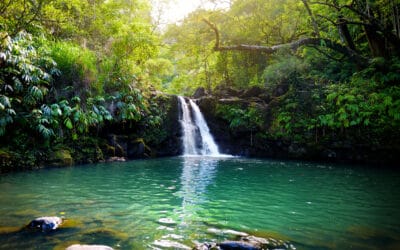 Best of Maui Waterfalls: Our Guide for Your Hawaii Vacation