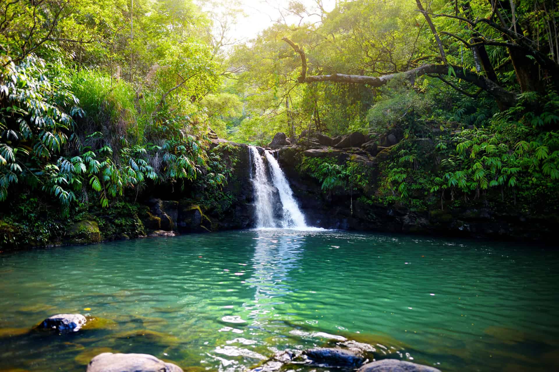 Best of Maui Waterfalls: Our Guide for Your Hawaii Vacation