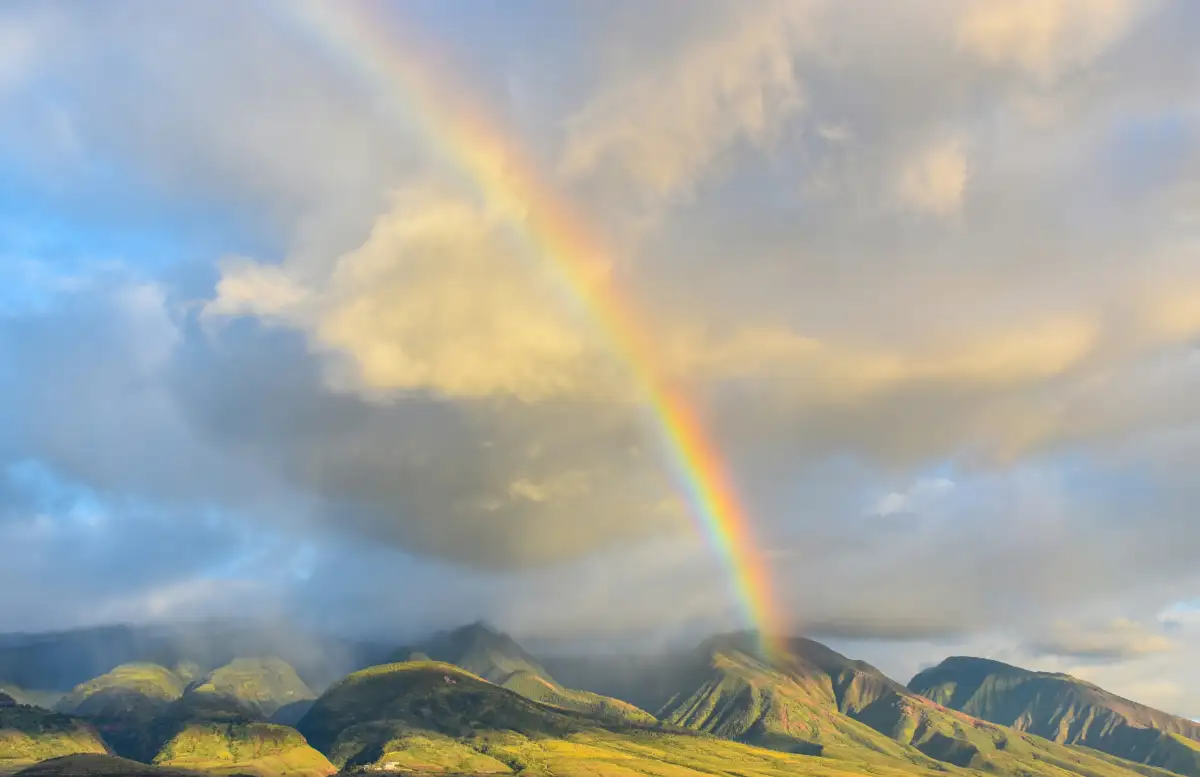 The Best Time to Visit Maui: Weather, Crowds & Savings Guide