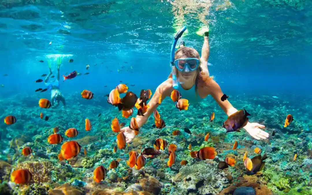 Maui for Water Lovers: Best Hawaii Ocean Activities by Interest
