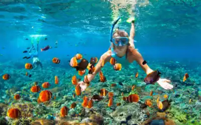 Maui for Water Lovers: Best Hawaii Ocean Activities by Interest