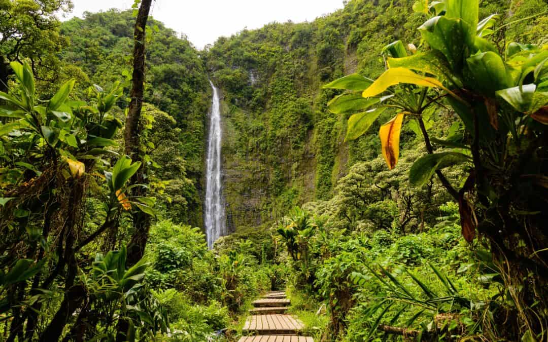 A Visitor’s Guide to Exploring the Island from a South Maui Base