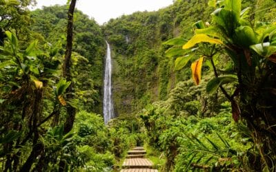 A Visitor’s Guide to Exploring the Island from a South Maui Base