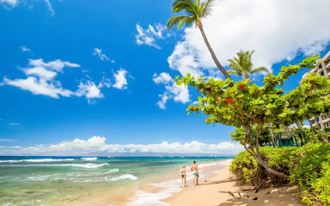 Top 5 Beaches in Maui for Every Mood — Chill, Adventure & Family Fun