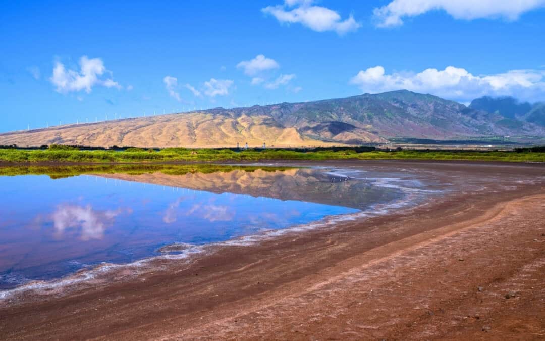 Beyond Maui’s Beaches: Easy Inland Experiences That Add Depth