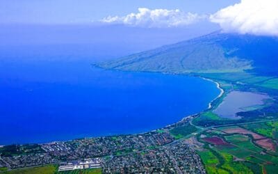 Maui in January: Whale Season, Sunshine, and a Calmer Pace