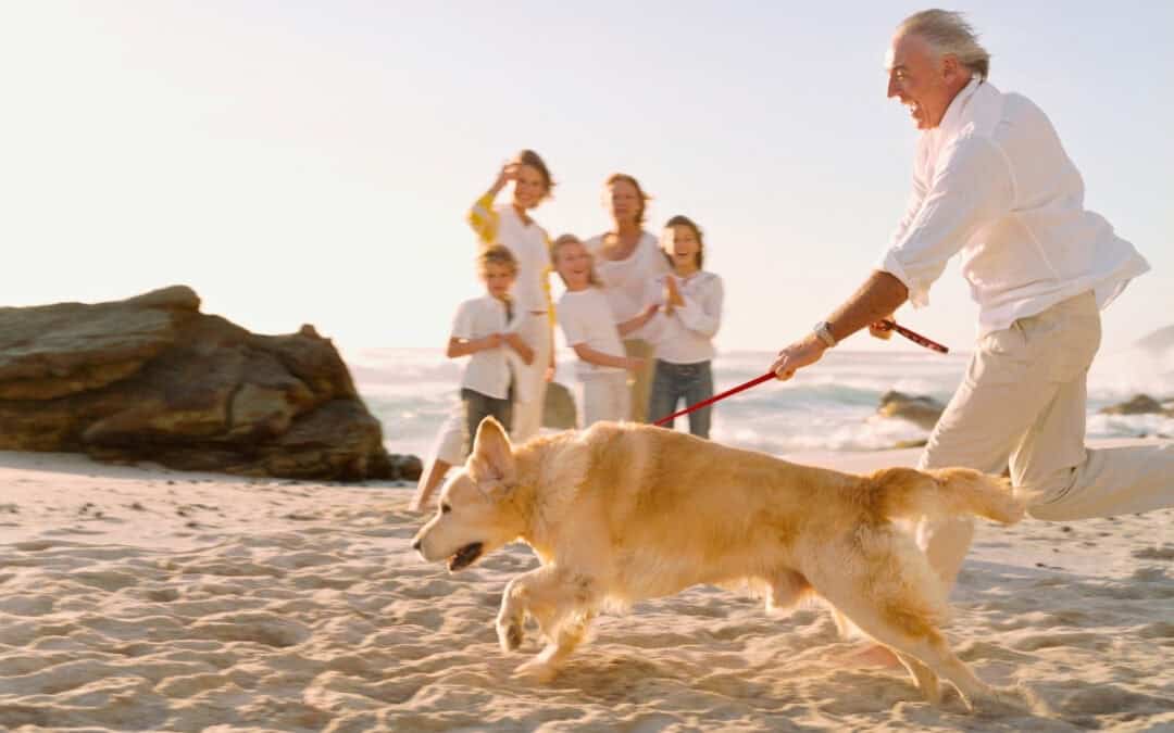 Why South Maui Is Perfect for Multigenerational Family Vacations